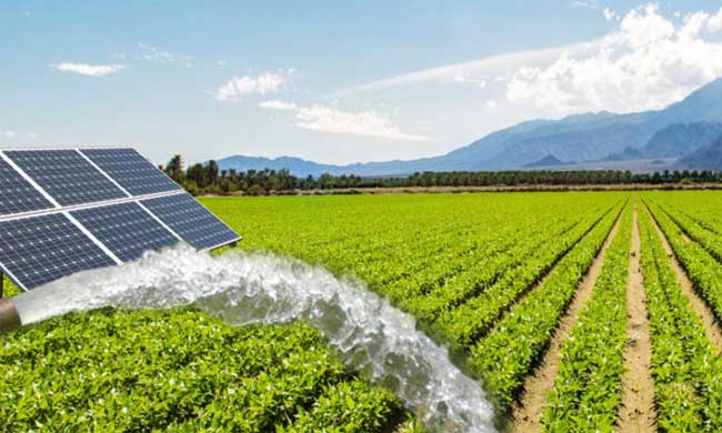 Quauntifiable ROI on Agricultural Solar systems in Vredenberg